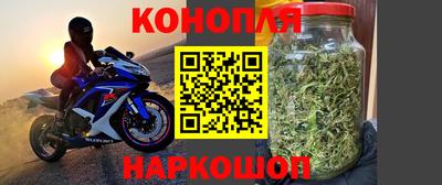 мяу мяу мука Бузулук