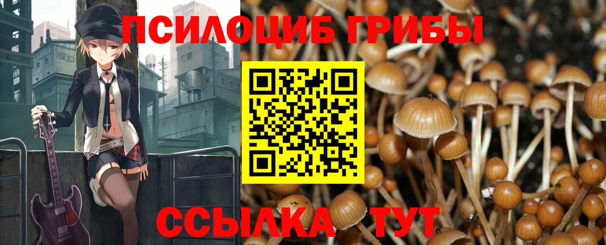 Галлюциногенные грибы прущие грибы Мирный